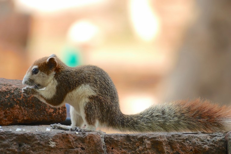 P1010631 - Version 2