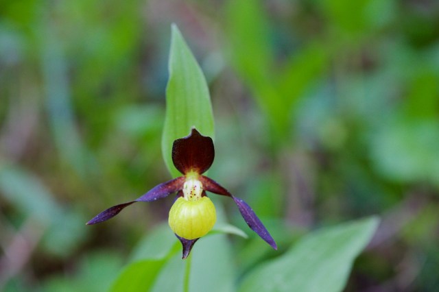 732A5527 - Version 2