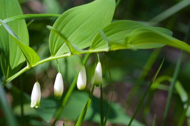 732A5532 - Version 2