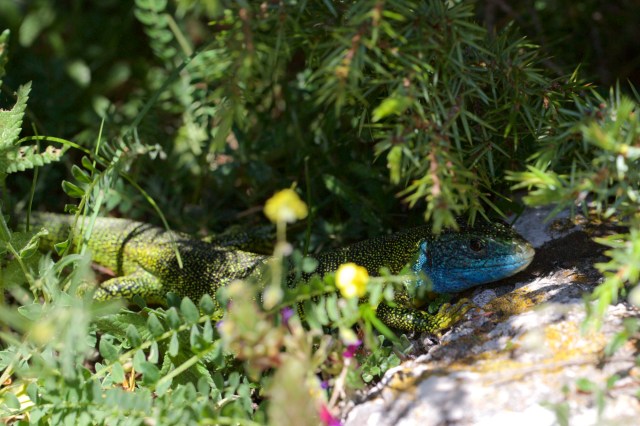 732A5547 - Version 2