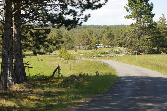 732A5551 - Version 2