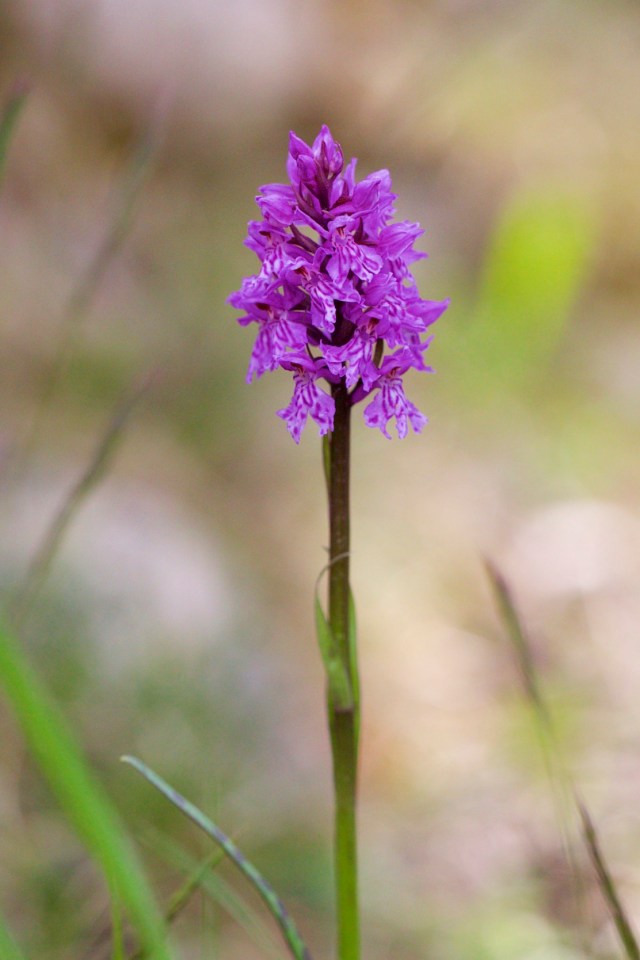 732A5562 - Version 2