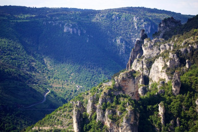 732A5565 - Version 2