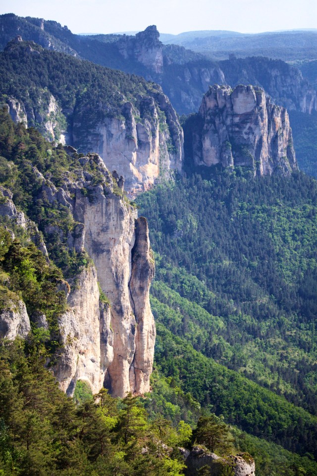 732A5566 - Version 2