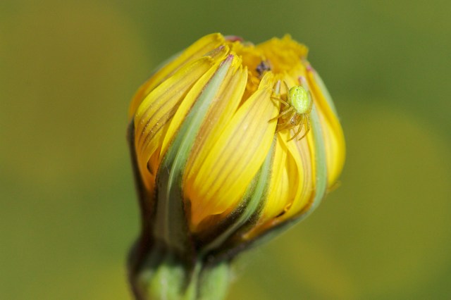 732A5803 - Version 2