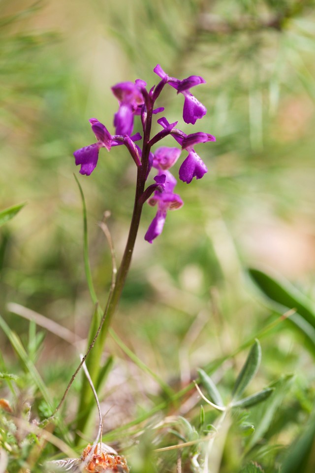 732A5923 - Version 2