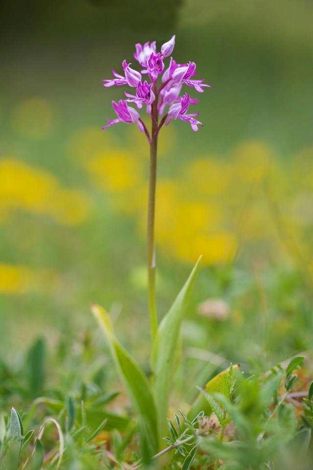 732A5927 - Version 2