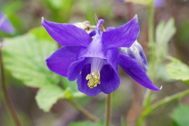 732A5936 - Version 2