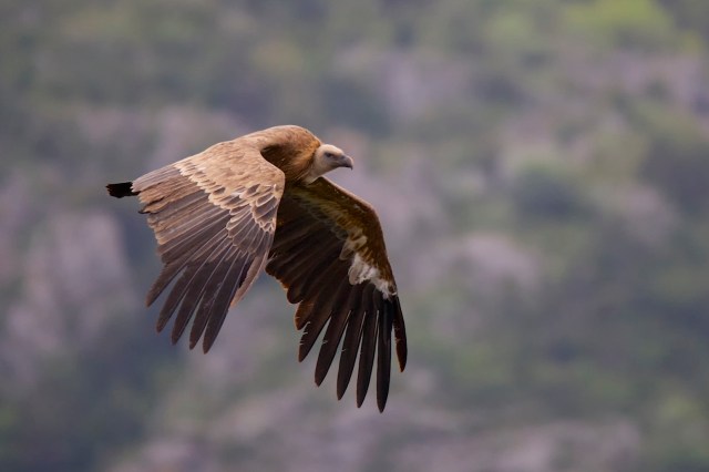 732A6045 - Version 2