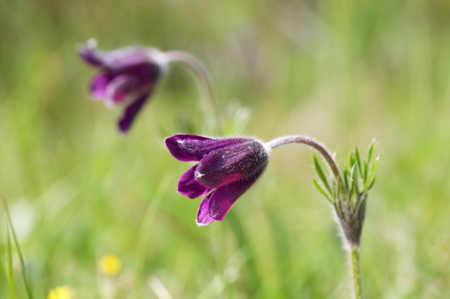 732A6150 - Version 2