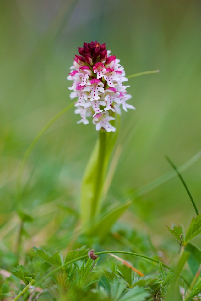 732A6157 - Version 2