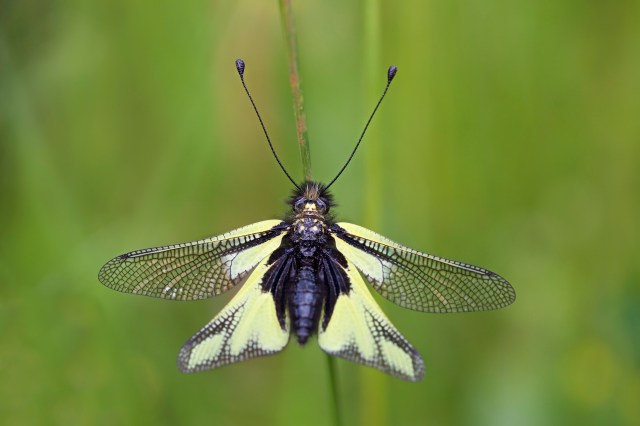 732A6173 - Version 2