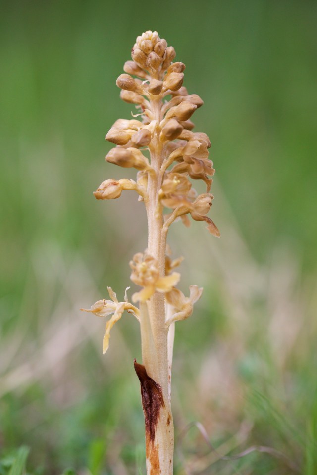 732A6273 - Version 2