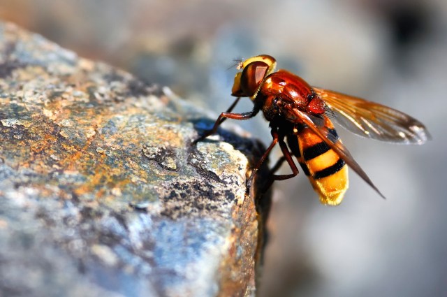 DSC_1609 - Version 2