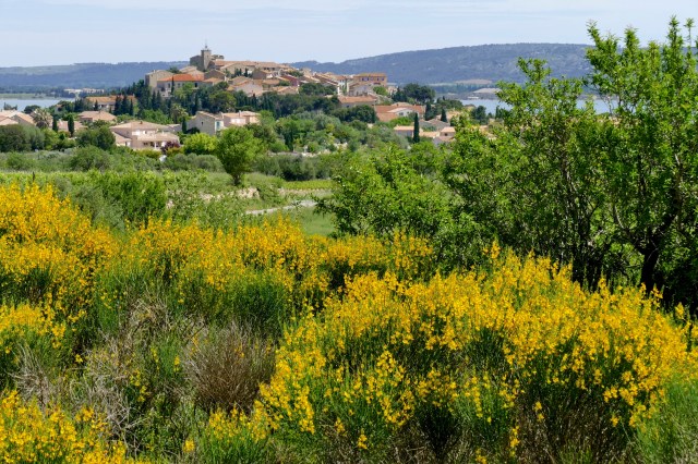 P1030101 - Version 2