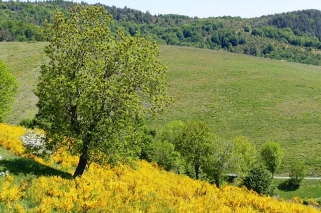 P1030189 - Version 2