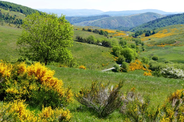 P1030190 - Version 2