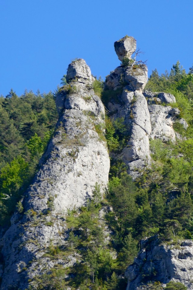 P1030241 - Version 2