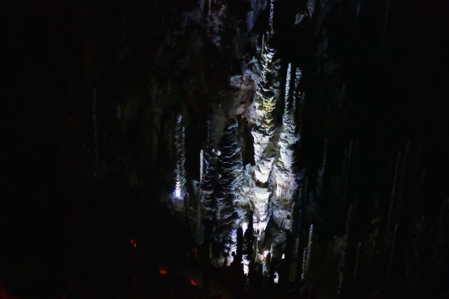 P1030264 - Version 2