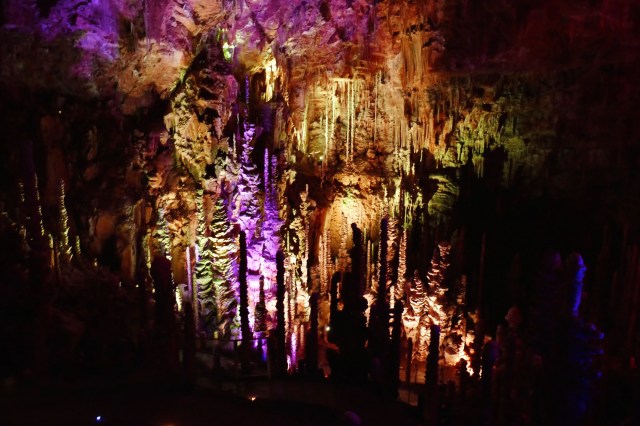 P1030269 - Version 2