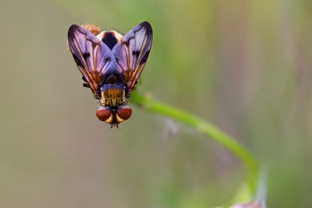 732A6619 - Version 2