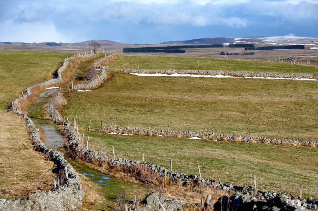 JMN_0346_DxOplus1_raw