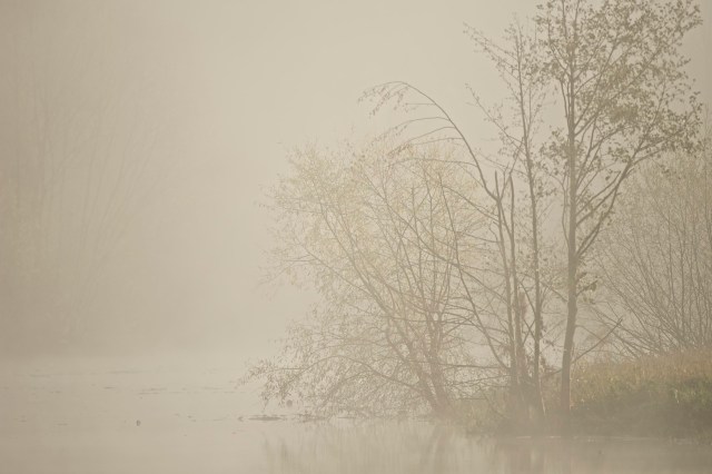 On remarque facilement le manque de netteté, de contraste et de saturation des couleurs dans cette image.