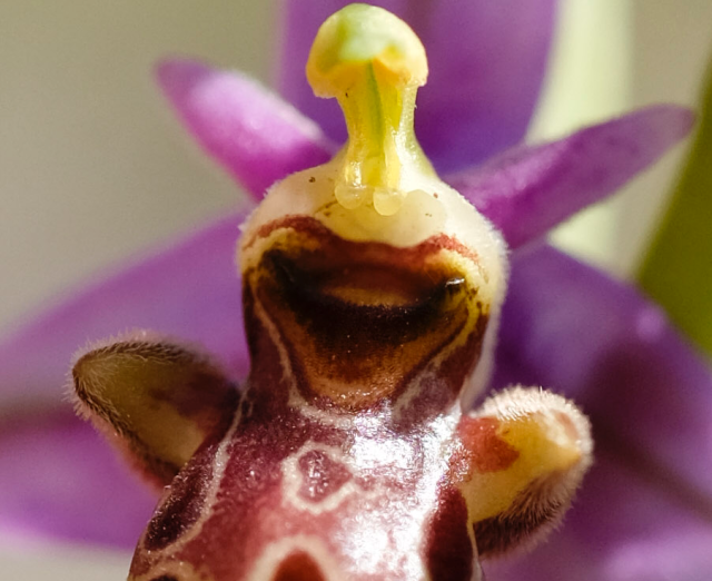 Capture d’écran 2016-04-09 à 20.03.22