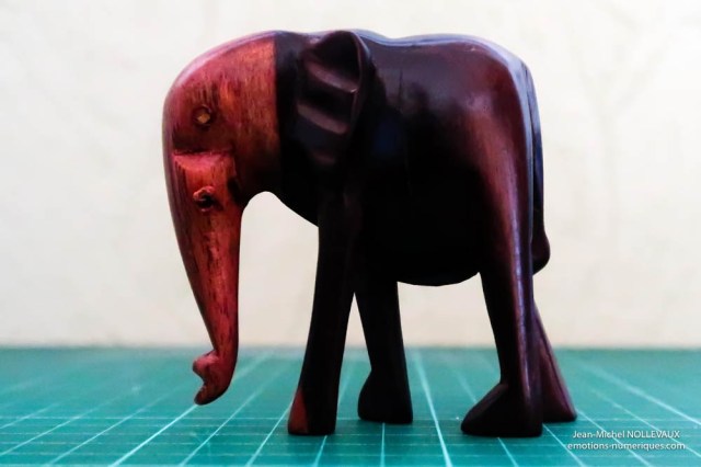 elephant-3200-iso-1.jpg
