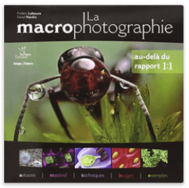 macrophotographie.png