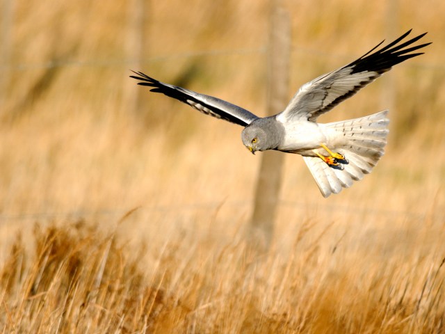 136_DxO_DxO-Michel-Jacques-WEB