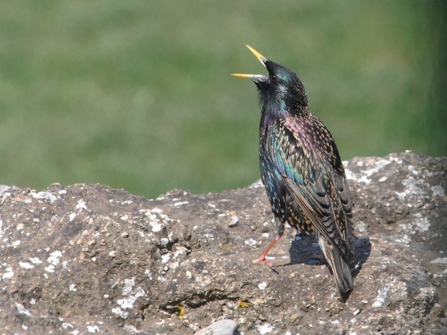 20100416-Martine-Jacques-WEB