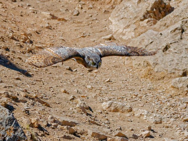 DSC_3027-Francois-Jacques-WEB