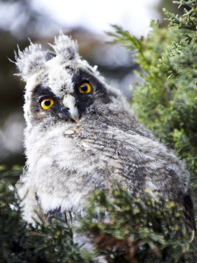 Moyen-Duc-Isabelle-Jacques-WEB