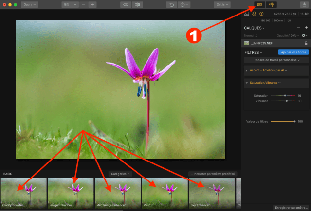 Capture d’écran 2018-02-08 à 10.43.20.png