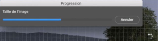 Progression copie.jpg