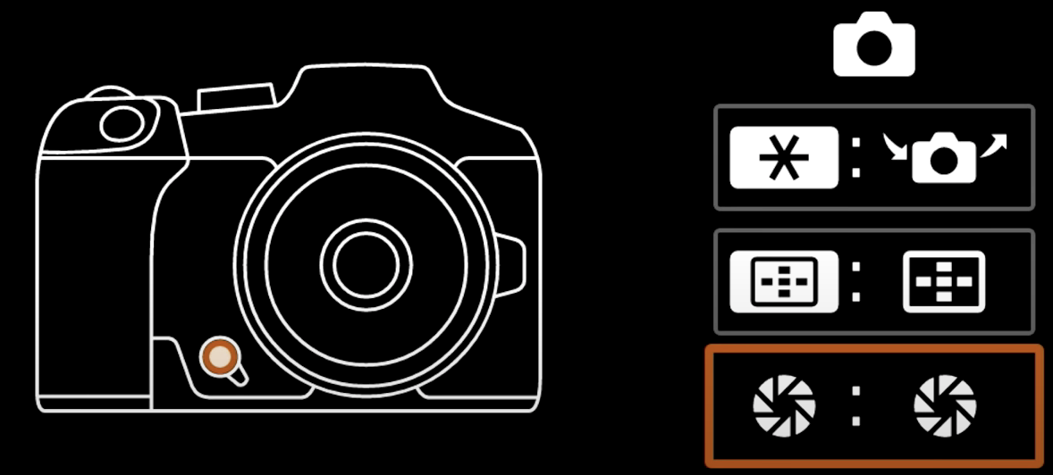 Canon EOS R7 : mes réglages pour la photo animalière. – Emotions ...